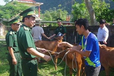 Hỗ trợ 50 con bò giống cho đồng bào  nơi biên giới