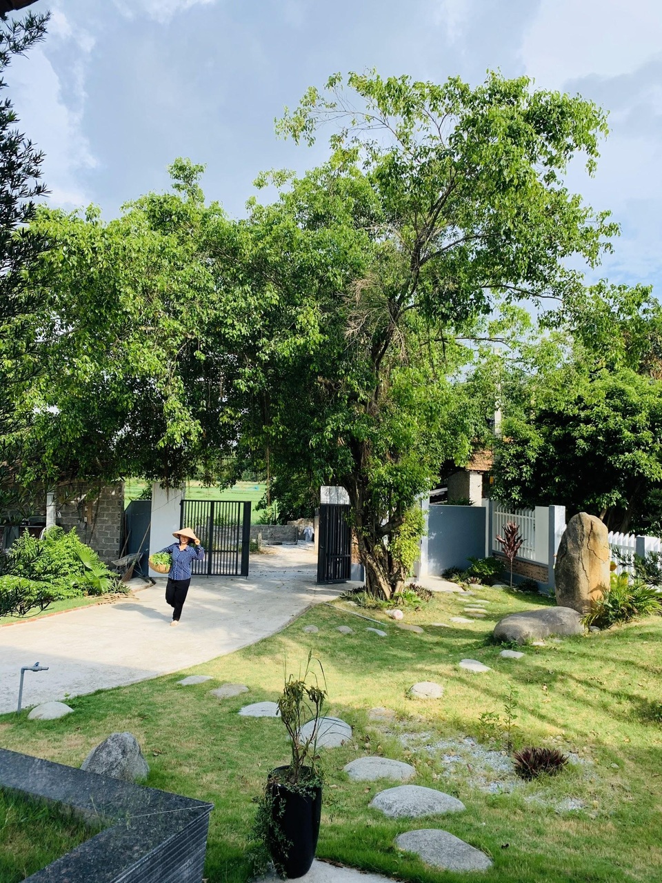 Nhà vườn 2 tỷ đồng với sân vườn ao cá “ngắm mây giăng” ở Tam Đảo - 10 Nhà vườn 2 tỷ đồng với sân vườn ao cá “ngắm mây giăng” ở Tam Đảo - 10