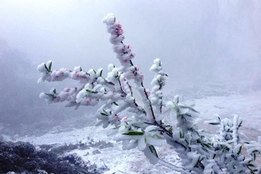 Băng giá kỳ thú, bất ngờ tại miền Tây xứ Nghệ