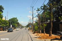 Vì sao hàng loạt cây xanh lâu năm trên quốc lộ 9 bất ngờ bị đốn hạ?