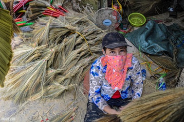 Xóm chổi đót độc nhất ở TPHCM nhộn nhịp ngày giáp Tết