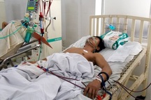 Ăn bọ rầy, người tử vong, người bị ngộ độc nặng