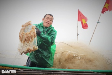 Bắt con nổi lềnh bềnh về ướp lá dung, ngư dân kiếm tiền triệu mỗi ngày