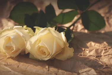 Những điều thú vị nên biết về ngày Valentine trắng