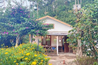 Chàng sinh viên cải tạo ngôi nhà cũ thành không gian đẹp như trong cổ tích