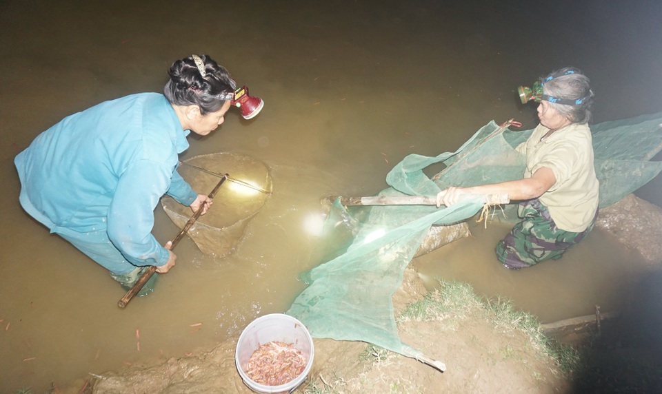 Mỗi ngày đút túi gần chục triệu đồng nhờ vớt lộc đùn lên từ đất - 6 Mỗi ngày đút túi gần chục triệu đồng nhờ vớt lộc đùn lên từ đất - 6