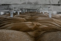 Nga tăng cường tấn công cảng, ngành xuất khẩu của Ukraine lao đao