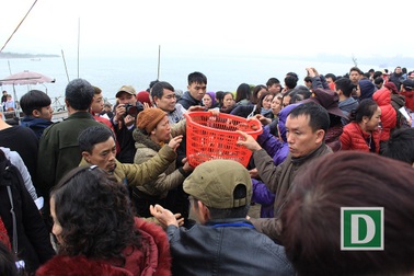 Hàng vạn người dự Lễ phóng sinh,  hơn 5 tấn cá được thả xuống sông Hồng