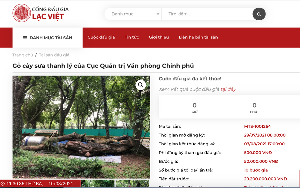 Hà Nội: Đấu giá trực tuyến 7 cây gỗ sưa được gần 235 tỷ đồng - 1 Hà Nội: Đấu giá trực tuyến 7 cây gỗ sưa được gần 235 tỷ đồng - 1
