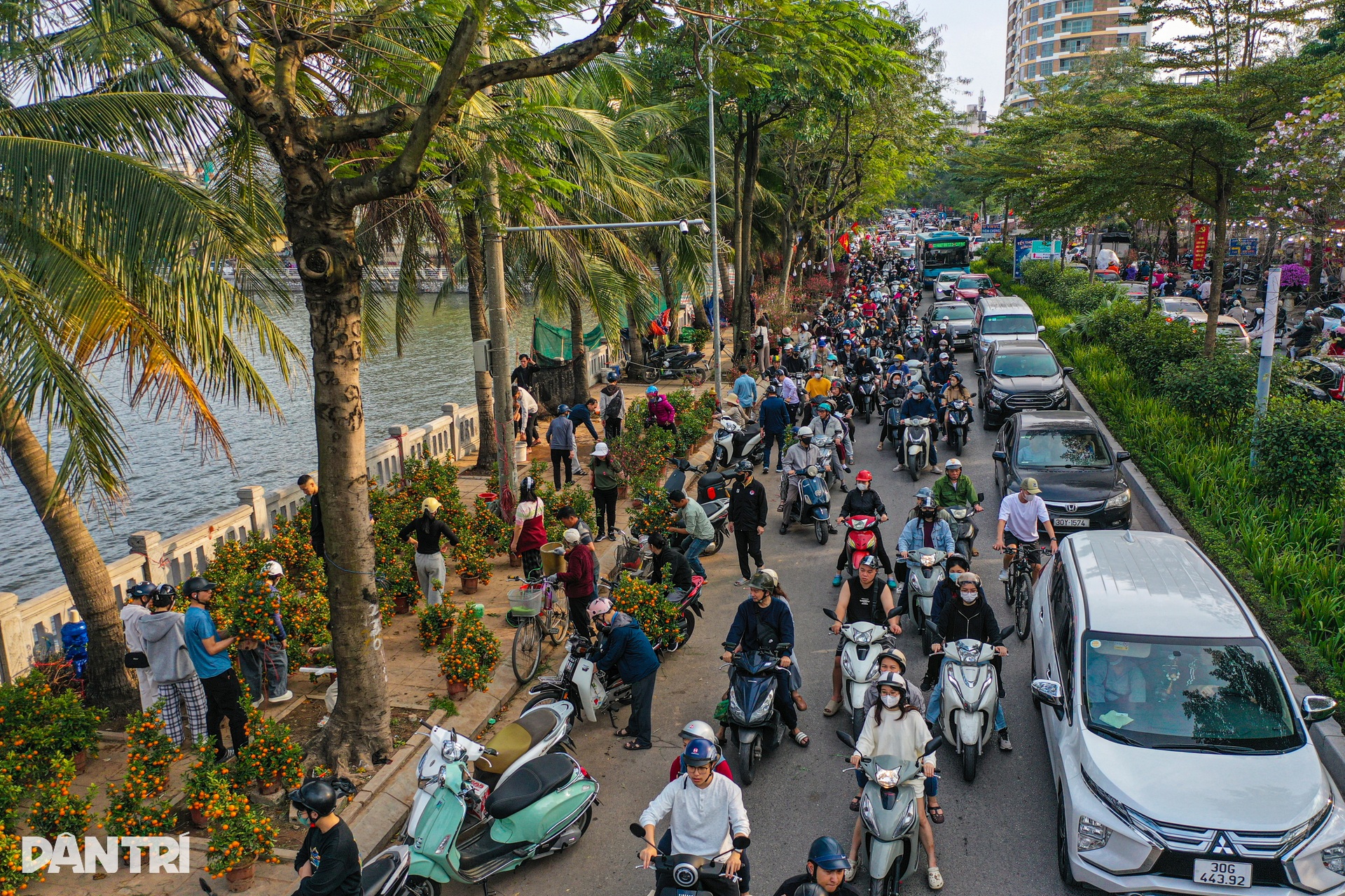 Đào, quất xả hàng giá rẻ, chợ hoa ở Hà Nội kẹt cứng chiều 28 Tết - 14 Đào, quất xả hàng giá rẻ, chợ hoa ở Hà Nội kẹt cứng chiều 28 Tết - 14