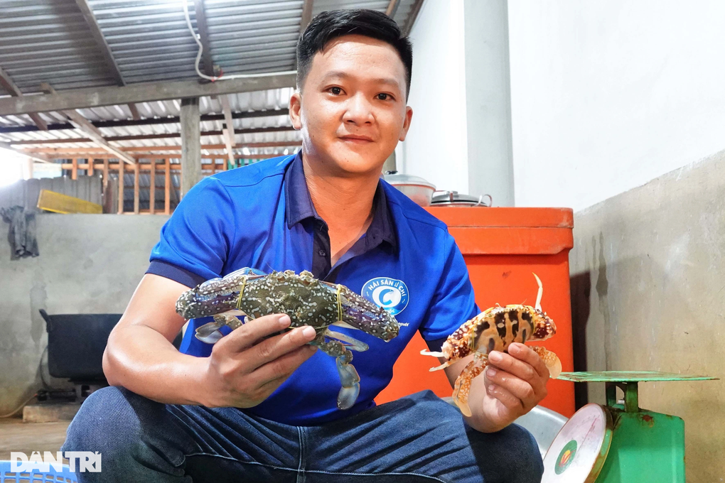 Săn ghẹ nghịch mùa, ngư dân Phú Quốc vẫn kiếm tiền triệu mỗi ngày - 4 Săn ghẹ nghịch mùa, ngư dân Phú Quốc vẫn kiếm tiền triệu mỗi ngày - 4