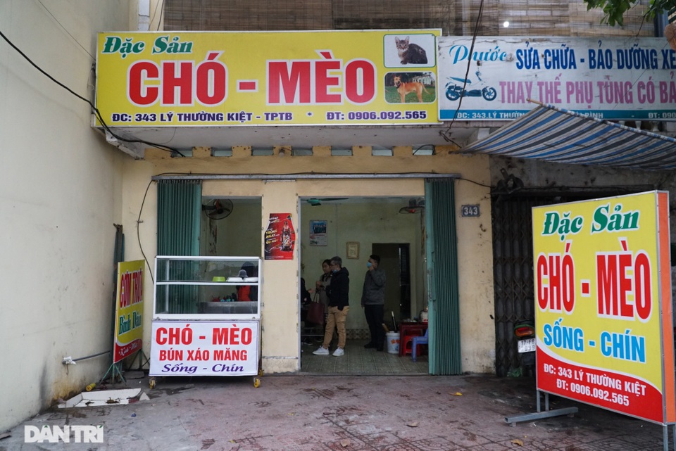 24 cá thể chó, mèo được cứu sống tại một lò giết mổ tiểu hổ - 1 24 cá thể chó, mèo được cứu sống tại một lò giết mổ tiểu hổ - 1