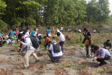 Phát động tết trồng cây tại di sản thế giới