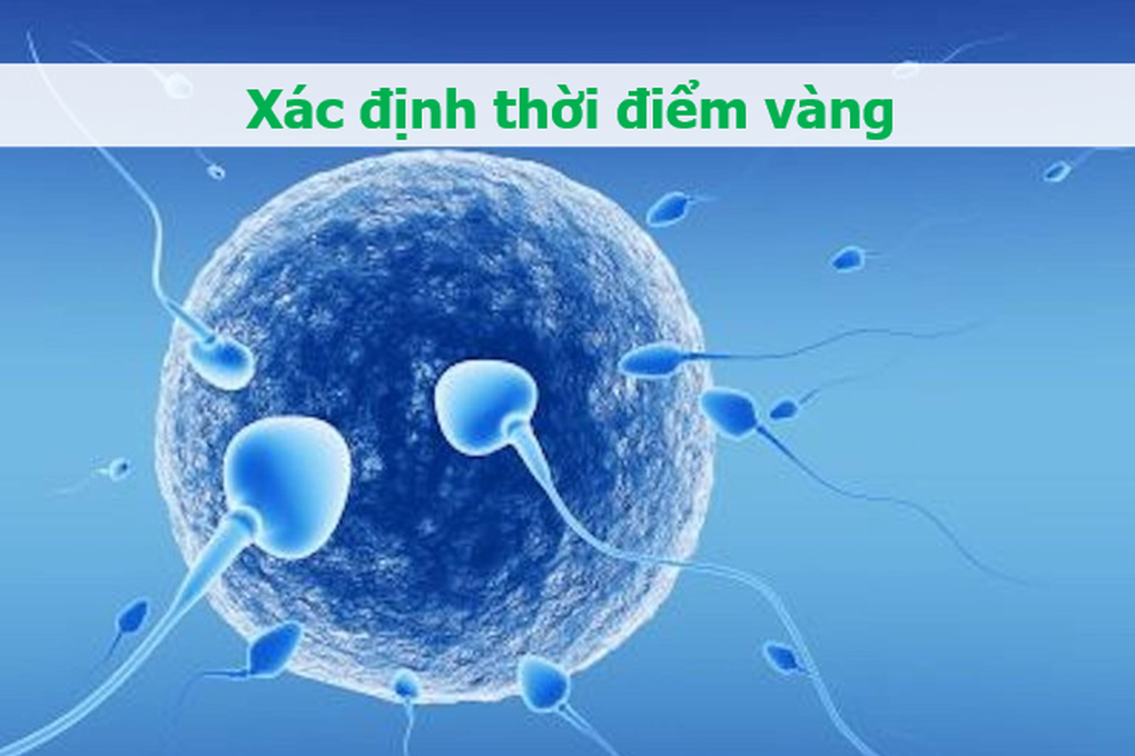 Làm 5 việc này sẽ giúp tăng cơ hội mang thai - 1 Làm 5 việc này sẽ giúp tăng cơ hội mang thai - 1