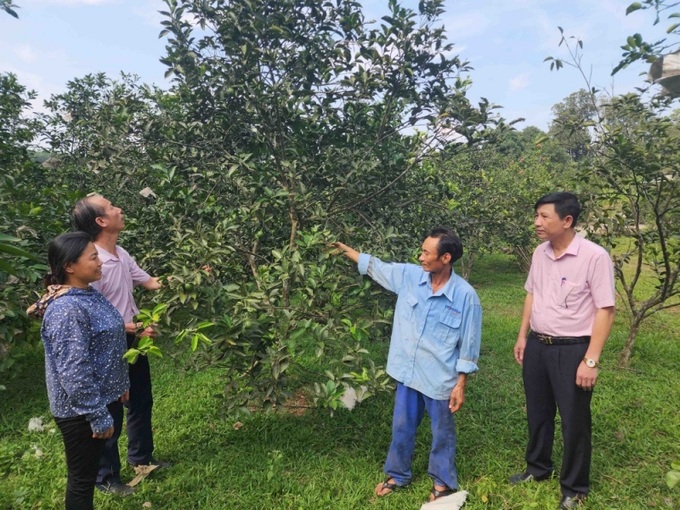 Ông Phạm Xuân Nghị ở xã Phúc Đồng, huyện Thanh Khê (Hà Tĩnh) vay vốn từ NQ 11 đầu tư trang trại GQVL ổn định