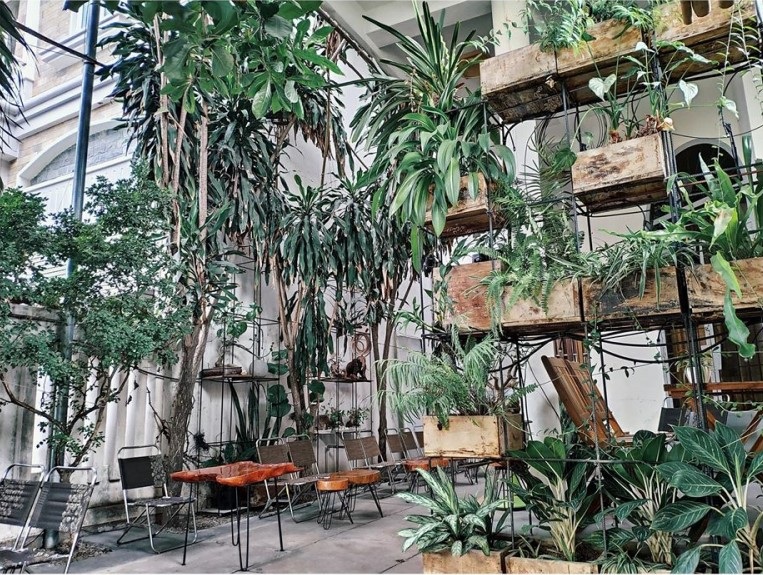 4 quán cà phê xanh mát như khu vườn nhiệt đới giữa phố biển Nha Trang - 10