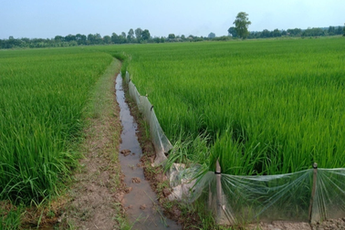 Người đàn ông nghi bị điện bẫy chuột giật tử vong