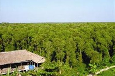 Bộ trưởng NN&PTNT “chốt” diện tích đất rừng cho thuê