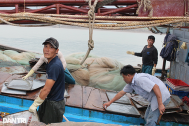 Khó khăn chồng chất, ngư dân mong sớm được tiếp sức
