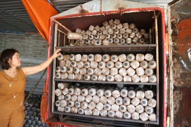 Người phụ nữ vươn lên thoát nghèo nhờ mô hình trồng nấm