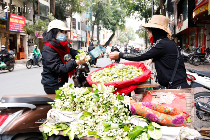 Hoa bưởi xuống phố, mang hương sắc về với tiết trời tháng Giêng đất Hà thành - Ảnh 8. Hoa bưởi xuống phố, mang hương sắc về với tiết trời tháng Giêng đất Hà thành - Ảnh 8.