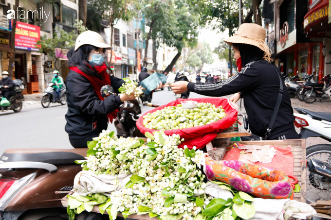 Hoa bưởi xuống phố, mang hương sắc về với tiết trời tháng Giêng đất Hà thành - Ảnh 8.