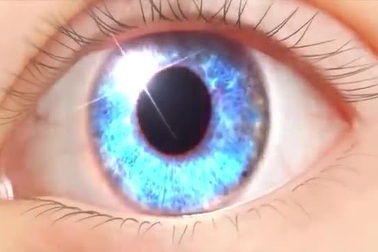 Cơ chế tác động của Broccophane trong bảo vệ mắt