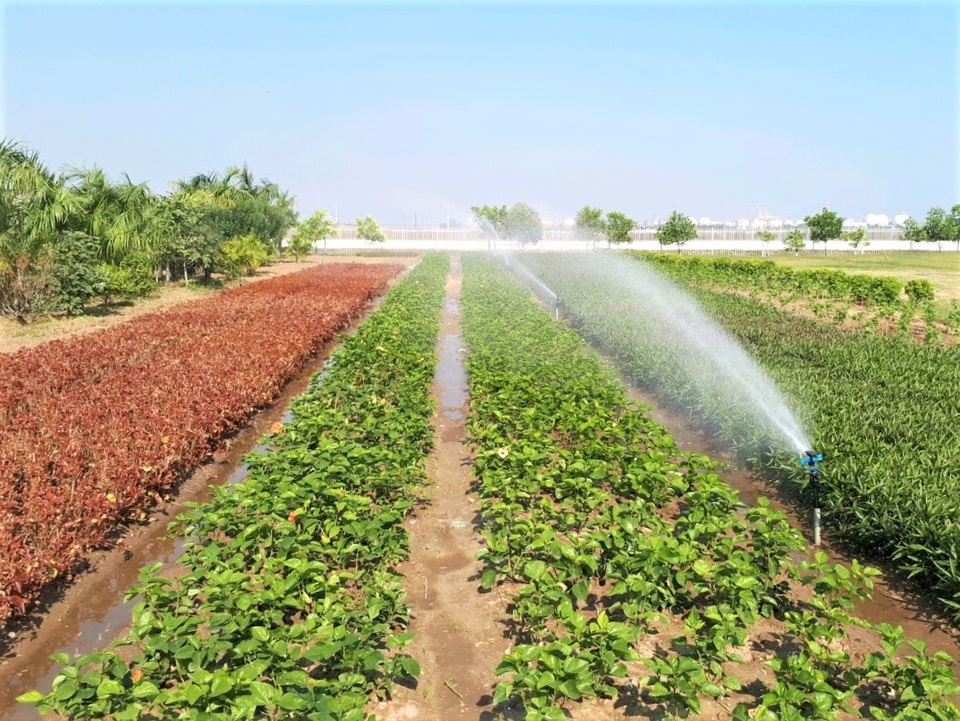 Khu công nghiệp sinh thái sẽ “hút” các đại bàng tới làm tổ - 2 Khu công nghiệp sinh thái sẽ “hút” các đại bàng tới làm tổ - 2