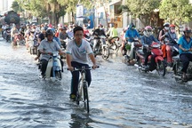 Triều cường dâng cao, người Sài Gòn lội nước về nhà