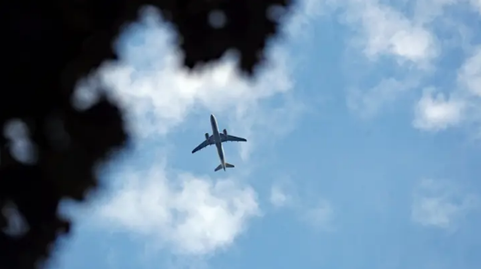 Sống sót thần kỳ sau hành trình đu càng máy bay từ Anh sang Hà Lan - 1