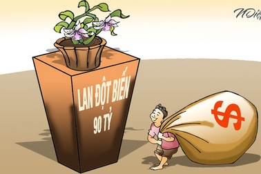 Trò đùa quá trớn của những người lắm tiền nhiều của?