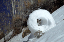 Tuyết cuộn: Hiện tượng thiên nhiên kỳ thú hiếm gặp