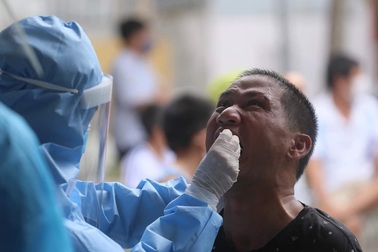 Tròn 13 ngày Việt Nam không có ca mắc Covid-19 ngoài cộng đồng