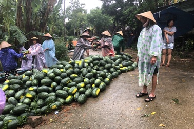 Lũ lớn trái mùa nhấn chìm đồng ruộng, nông dân “méo mặt”