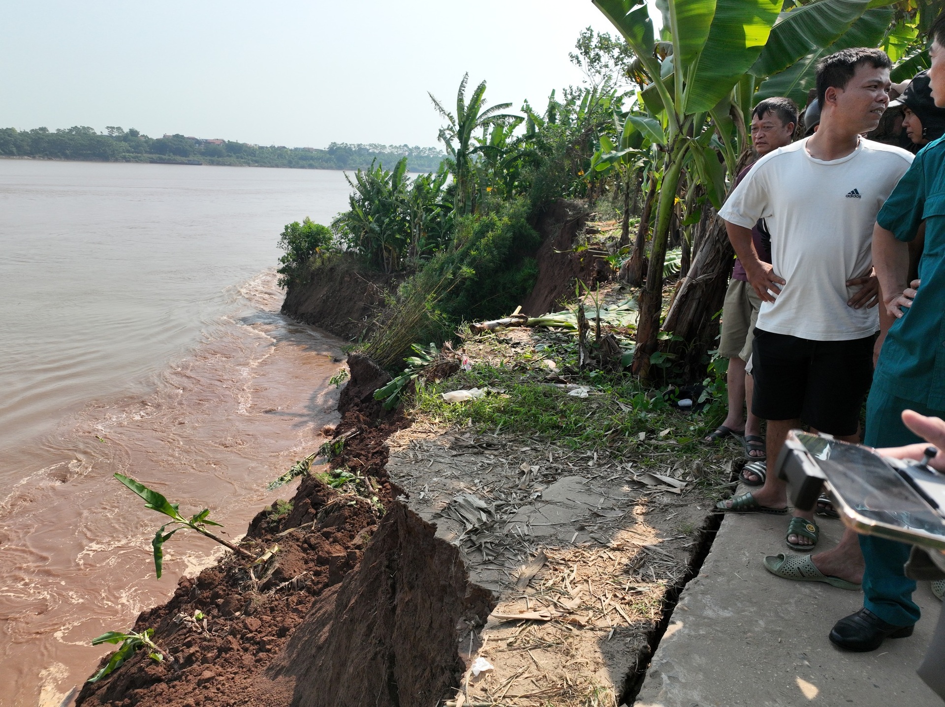 Sạt lở bờ sông uy hiếp xóm làng ở Phú Thọ - 3 Sạt lở bờ sông uy hiếp xóm làng ở Phú Thọ - 3