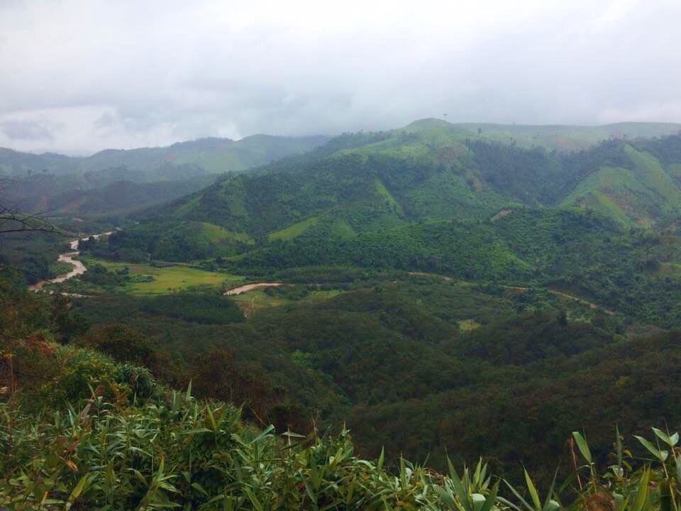 Ngọc Sơn làm nông dân chính hiệu trong khu vườn 2 hecta lần đầu tiết lộ - 2 Ngọc Sơn làm nông dân chính hiệu trong khu vườn 2 hecta lần đầu tiết lộ - 2