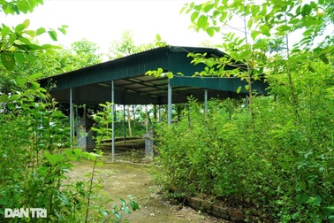 Cảnh tượng khó tin về nơi lưu giữ tấm bia bảo vật quốc gia hơn 300 năm tuổi