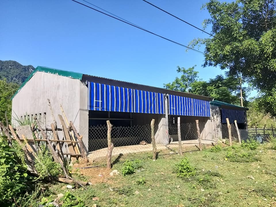 Cận cảnh “biệt thự” cho bò giá hơn 230 triệu đồng ở Nghệ An - 1 Cận cảnh “biệt thự” cho bò giá hơn 230 triệu đồng ở Nghệ An - 1