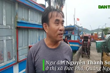Tàu cập cảng bán cá chạy bão