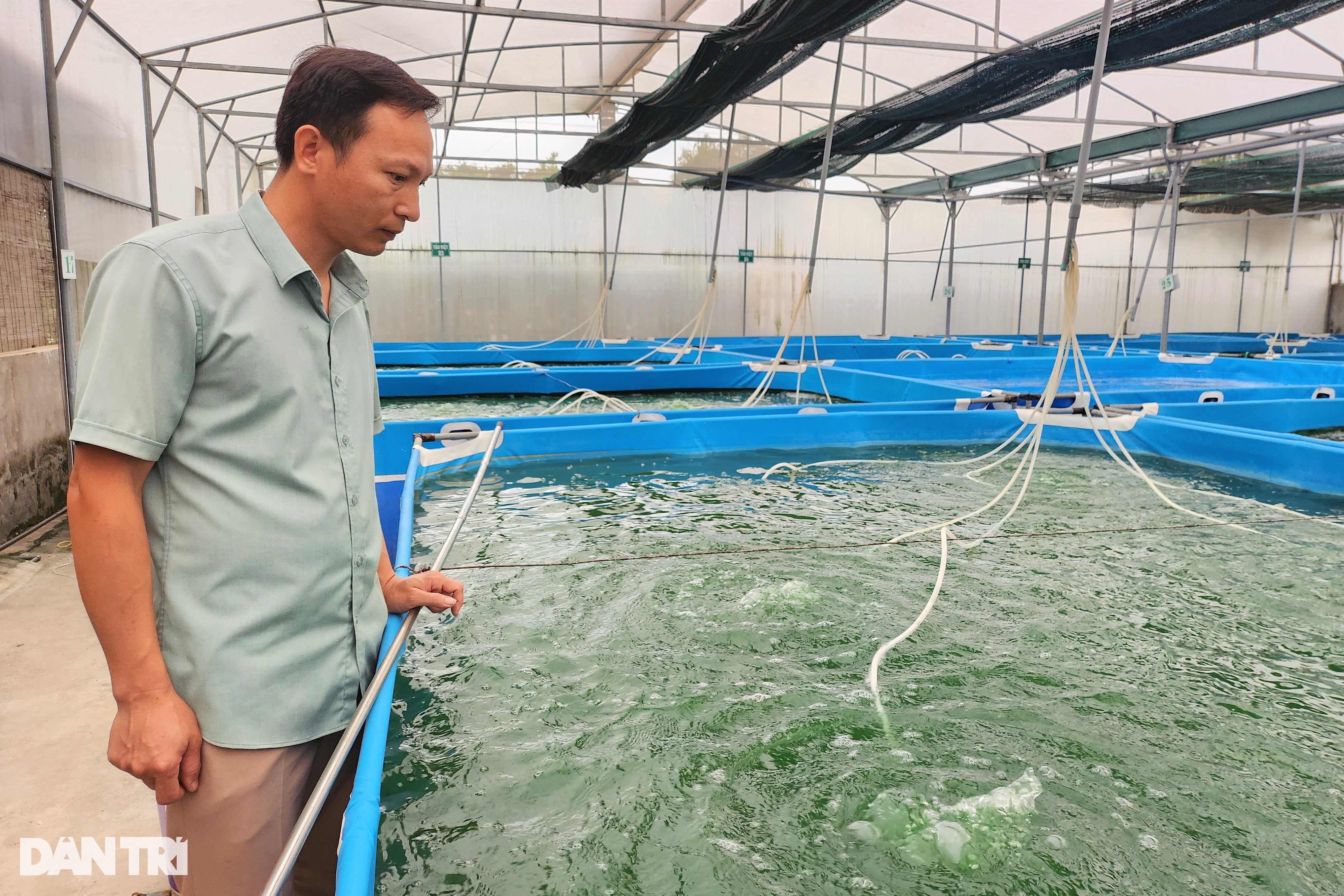 Vợ chồng giáo viên bỏ nghề về làm giàu từ loại không phải cho ăn gì - 4 Vợ chồng giáo viên bỏ nghề về làm giàu từ loại không phải cho ăn gì - 4