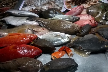 Hấp dẫn hải sản tươi rói ở chợ đêm Lý Sơn