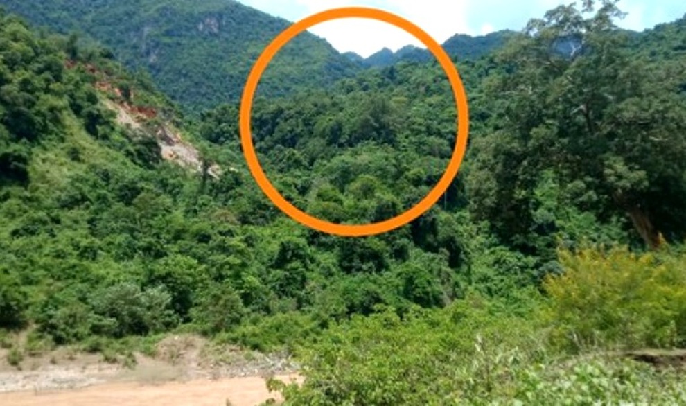 Khai thác gỗ trong rừng, 2 người bị gỗ đè thương vong - 1 Khai thác gỗ trong rừng, 2 người bị gỗ đè thương vong - 1
