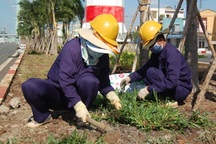 Sếp công ty công ích lương bạc tỉ: Người thừa nhận, kẻ "kêu oan"