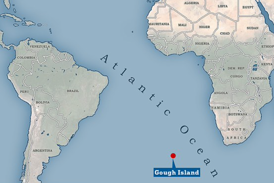 Hòn đảo bị xâm chiếm bởi những con chuột khổng lồ - 4 Hòn đảo bị xâm chiếm bởi những con chuột khổng lồ - 4