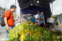 Độc đáo Tuần lễ trái cây "Trên bến, dưới thuyền" lần đầu tiên tại TPHCM