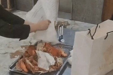 Chuyện 4kg buffet hải sản và 11 học sinh ăn mì tôm trộn cơm: Miếng ăn là...