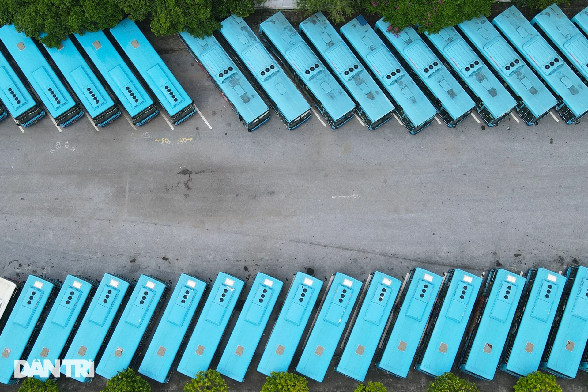 Hà Nội: Hàng nghìn ôtô nằm phơi nắng dầm mưa vì giãn cách xã hội - 3 Hà Nội: Hàng nghìn ôtô nằm phơi nắng dầm mưa vì giãn cách xã hội - 3