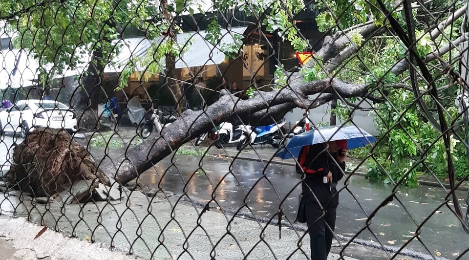 Học sinh Thừa Thiên Huế, Quảng Trị được nghỉ học ngày 8/10 - 4 Học sinh Thừa Thiên Huế, Quảng Trị được nghỉ học ngày 8/10 - 4