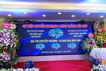 Lan đột biến chục tỷ đồng: Hào nhoáng như đa cấp và rủi ro sập bẫy