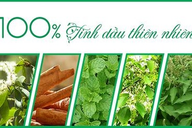 Bước đột phá dòng sản phẩm cao xoa chứa 100% tinh dầu thiên nhiên